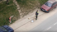 Elkezdődött a tavaszi nagytakarítás Székelyudvarhelyen, de hogy!?