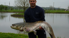 Nem engedték meg Lajosnak, hogy visszaengedje ezt a szörnyeteget a Királytóba