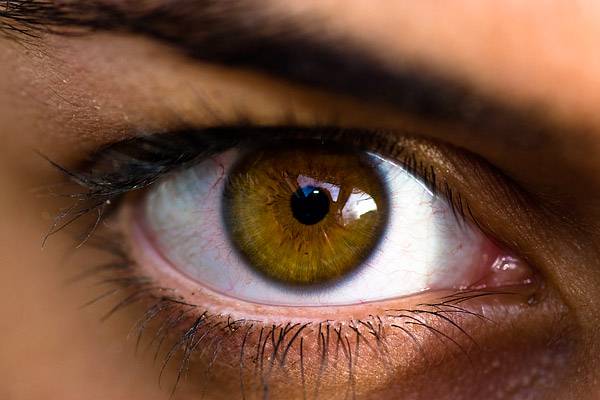 látási foltok a szem előtt a látás helyreállítása a szaruhártya károsodása esetén