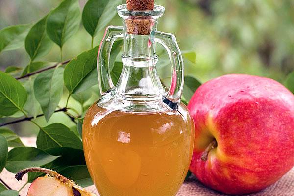Miért jó az alma almabor ecetet az éhgyomorra és naponta bevenni