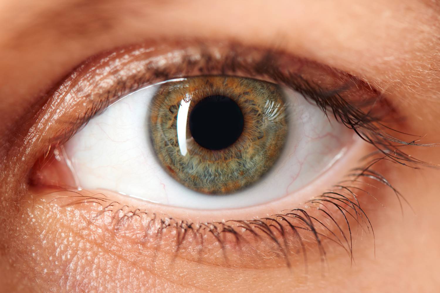 100 százalékos látás-helyreállító videó bates javította a látását