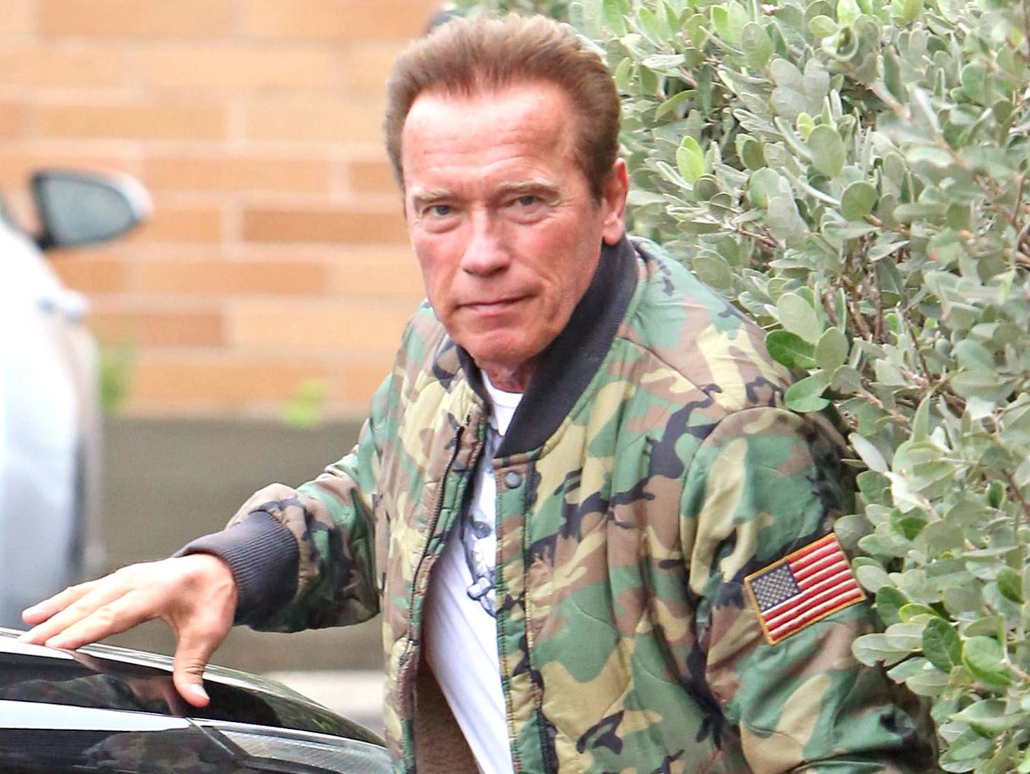 Arnold Schwarzenegger Hirek Cikkek A Velveten