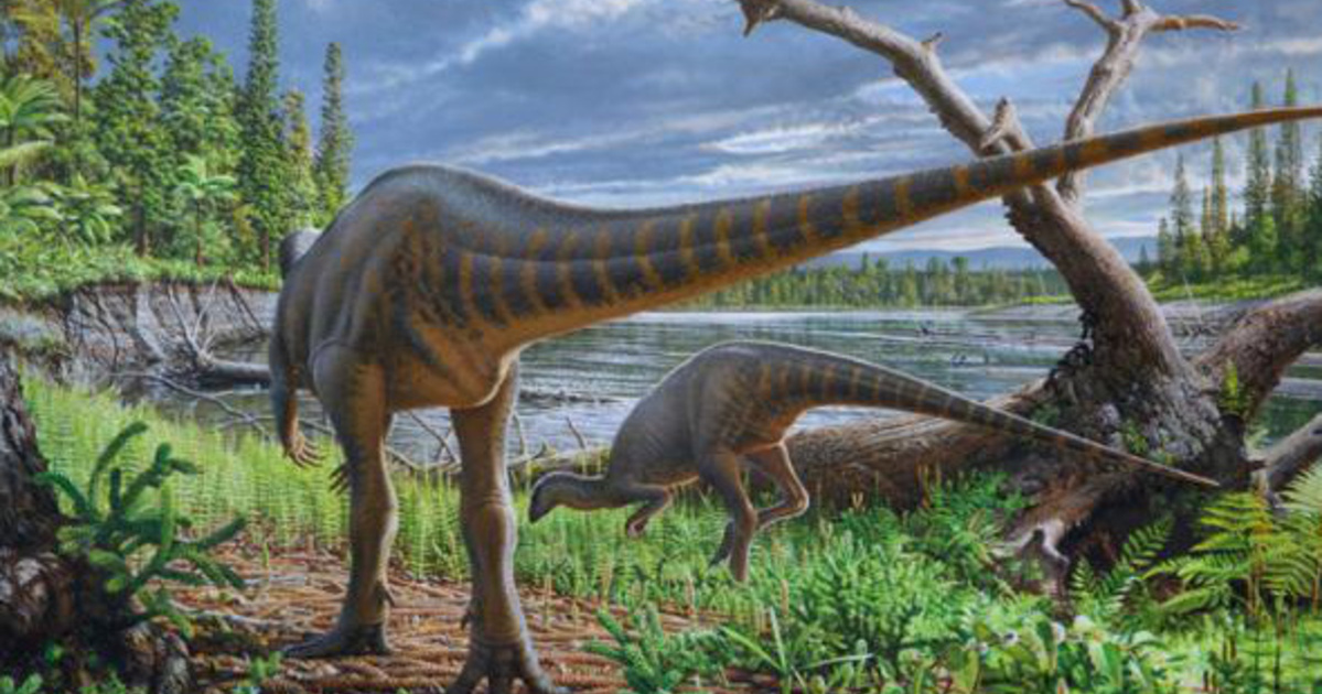 Folyóba fulladt dinoszauruszt azonosítottak Ausztráliában
