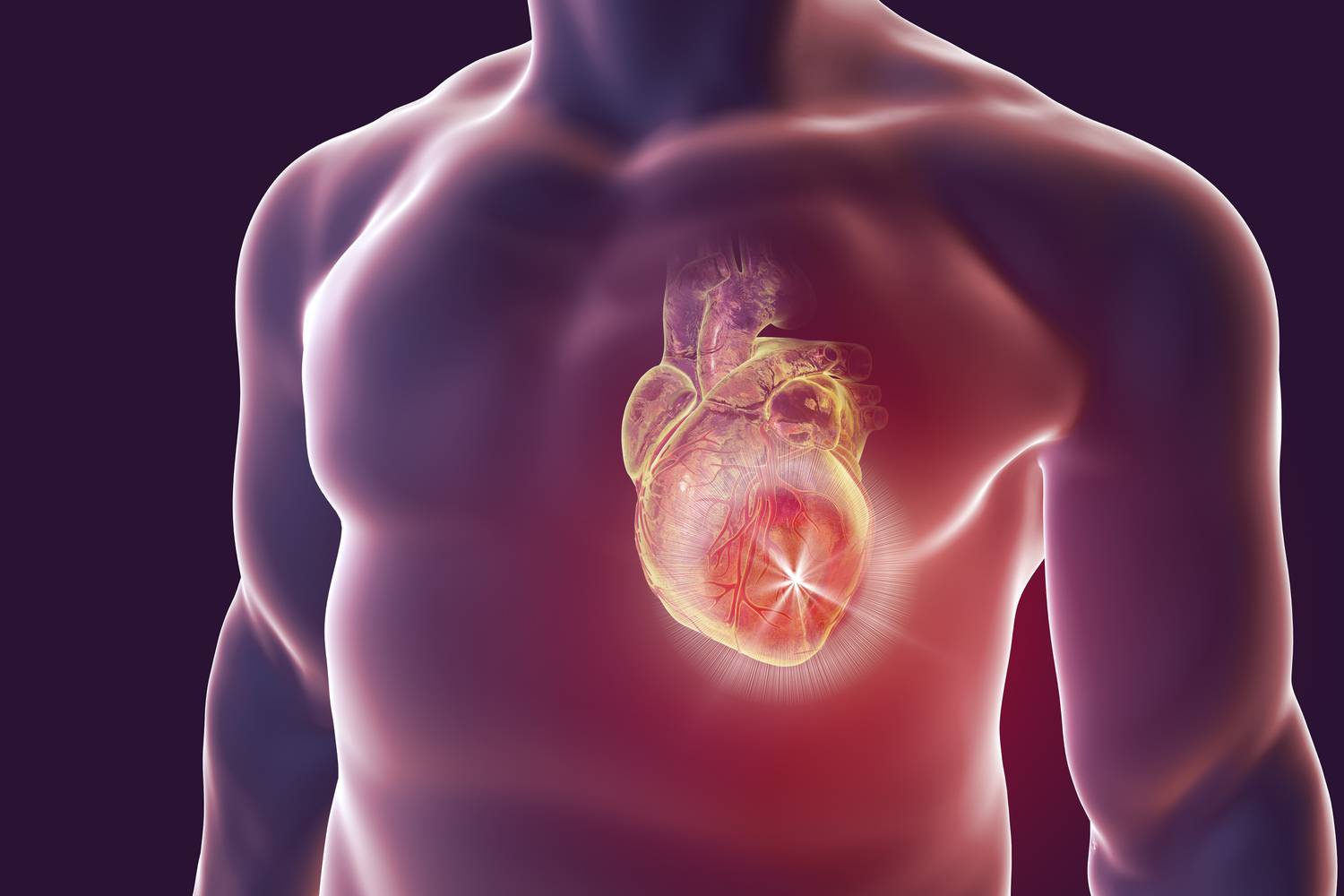 Hogyan őrizd meg a szíved egészségét?