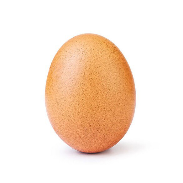 Index - Mindeközben - Ez a tojás leigázta az internetet