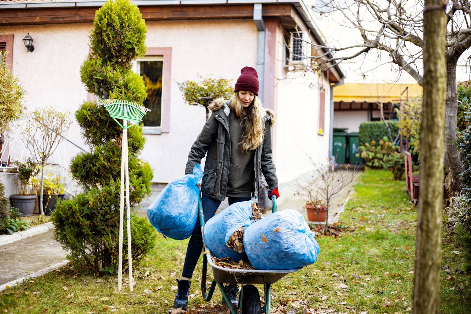 7 dolog, amit tegyél meg most a kertben, hogy tavasszal dús és gyönyörű legyen