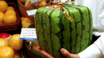 22 ezer forint a japán importdinnye