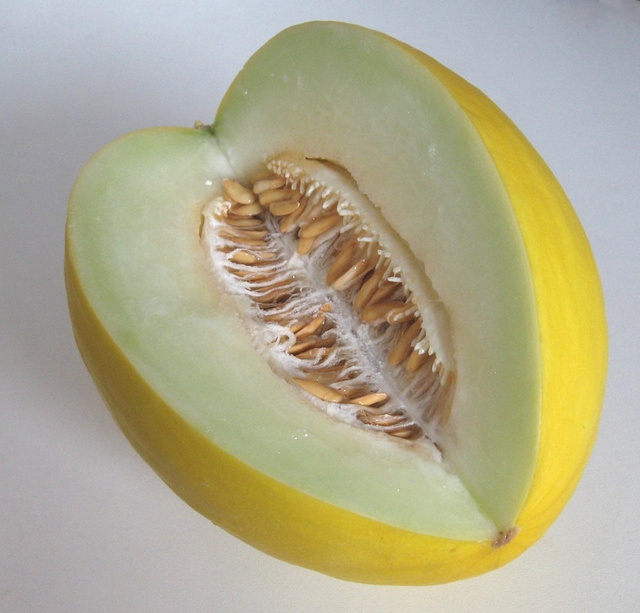 Honeydew.Melon.2Church of emacs