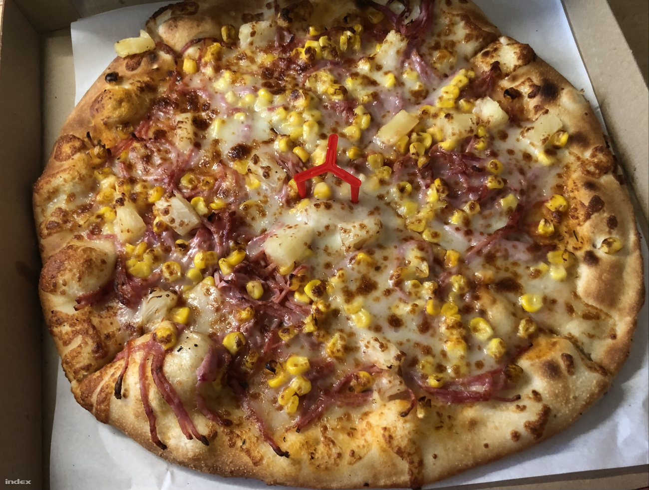 Pierre szerint jobb nem firtatni, hogyan vált védelmet élvező nemzeti kinccsé ez a pancs