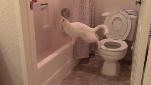 anigif enhanced-18006-1409790339-7.gif