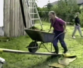 tali.gif