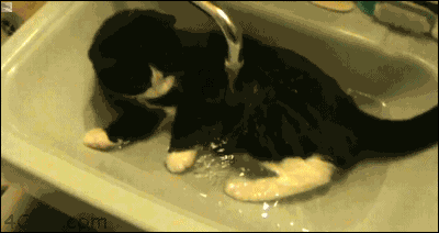 anigif enhanced-buzz-23353-1368272718-0.gif