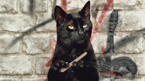 cat file.gif