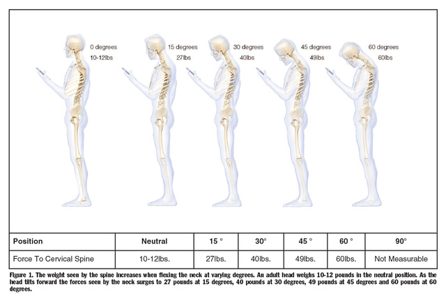 spine-study.pdf-2