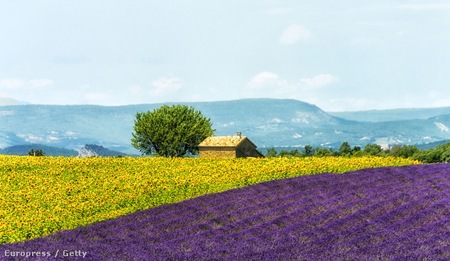 Provence, Franciaország