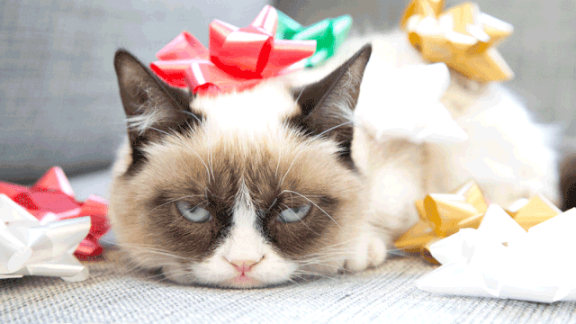 bah-humbug-grumpy-cat.gif