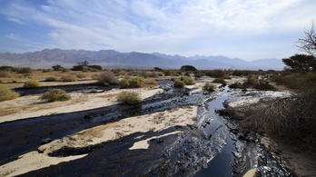 Több millió liter kőolaj ömlött ki egy izraeli nemzeti parkban