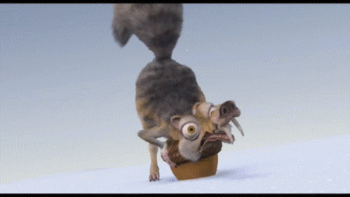 giphy (8).gif