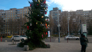Ez lenne Budapest legcsúfabb karácsonyfája?