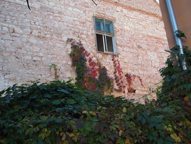 Őszi részlet Tokaj belvárosából