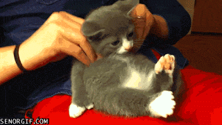 4.gif
