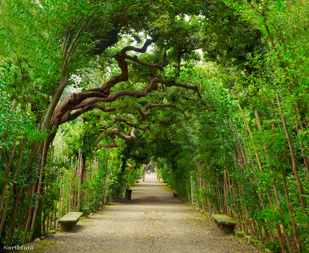 Boboli kertek, Firenze, Olaszország