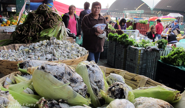 Huitlacoche