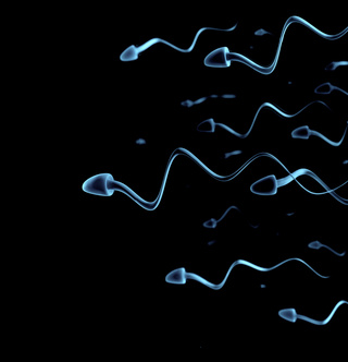 miért nem jön ki a spermium merevedés közben