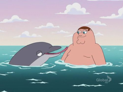 peter-and-dolphin-family-guy-gifs.gif