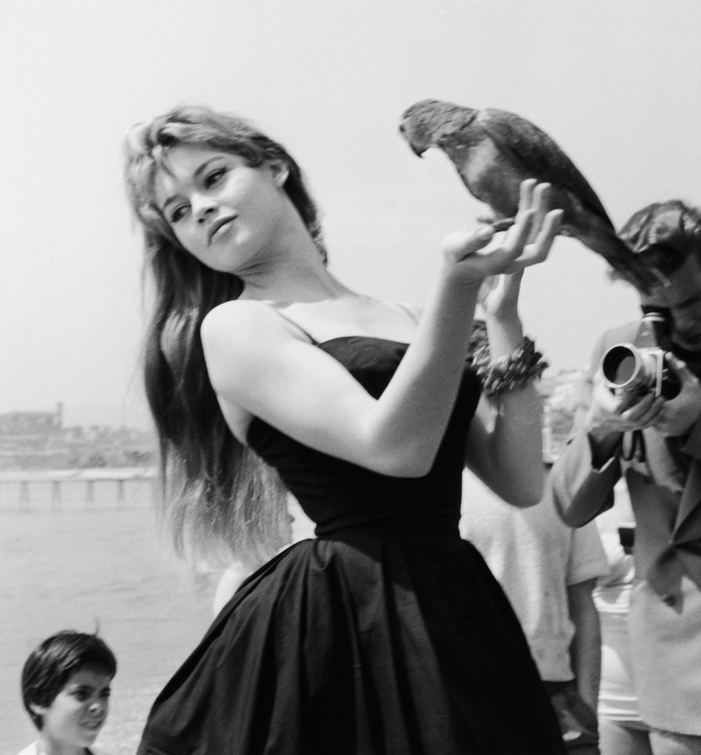 Brigitte Bardot és egy papagáj, 1956