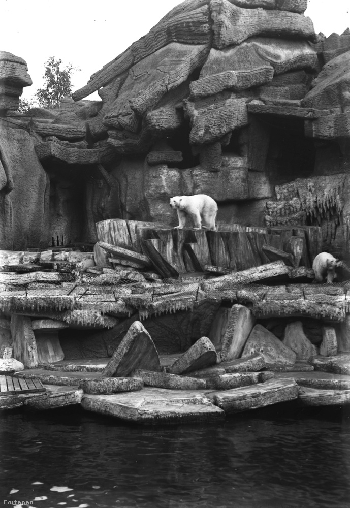 1937-ben a jegesmedvék helye gyakorlatilag ugyanúgy nézett ki, mint manapság.