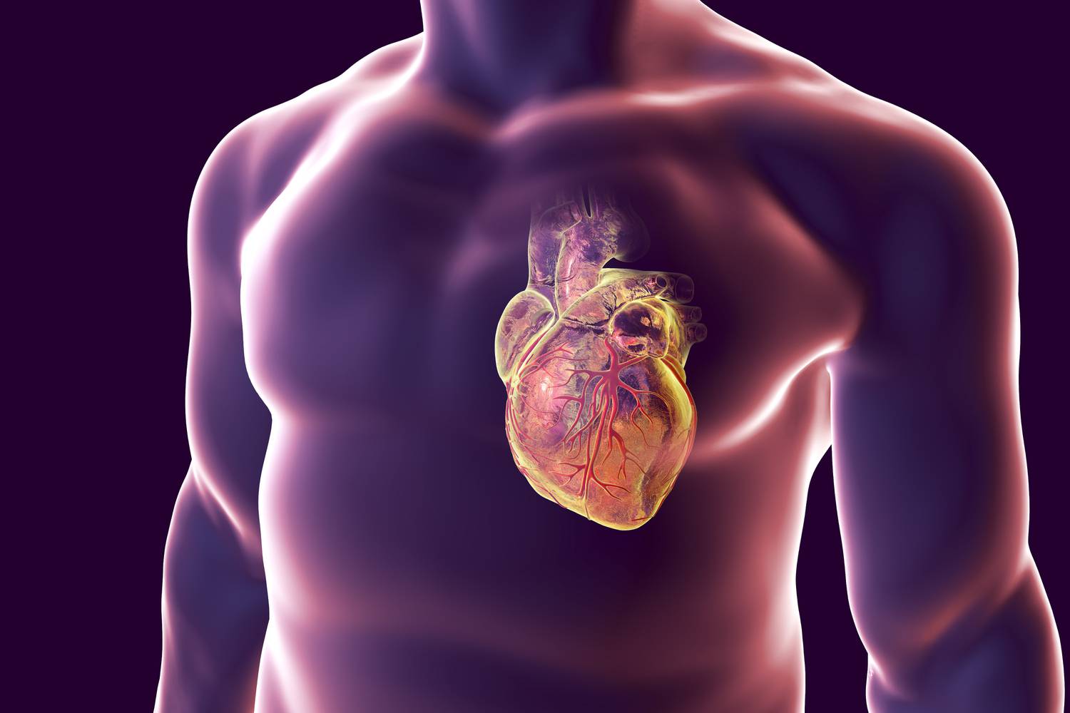 Érdekes tények a szív egészségéről spasztikus hipertónia az