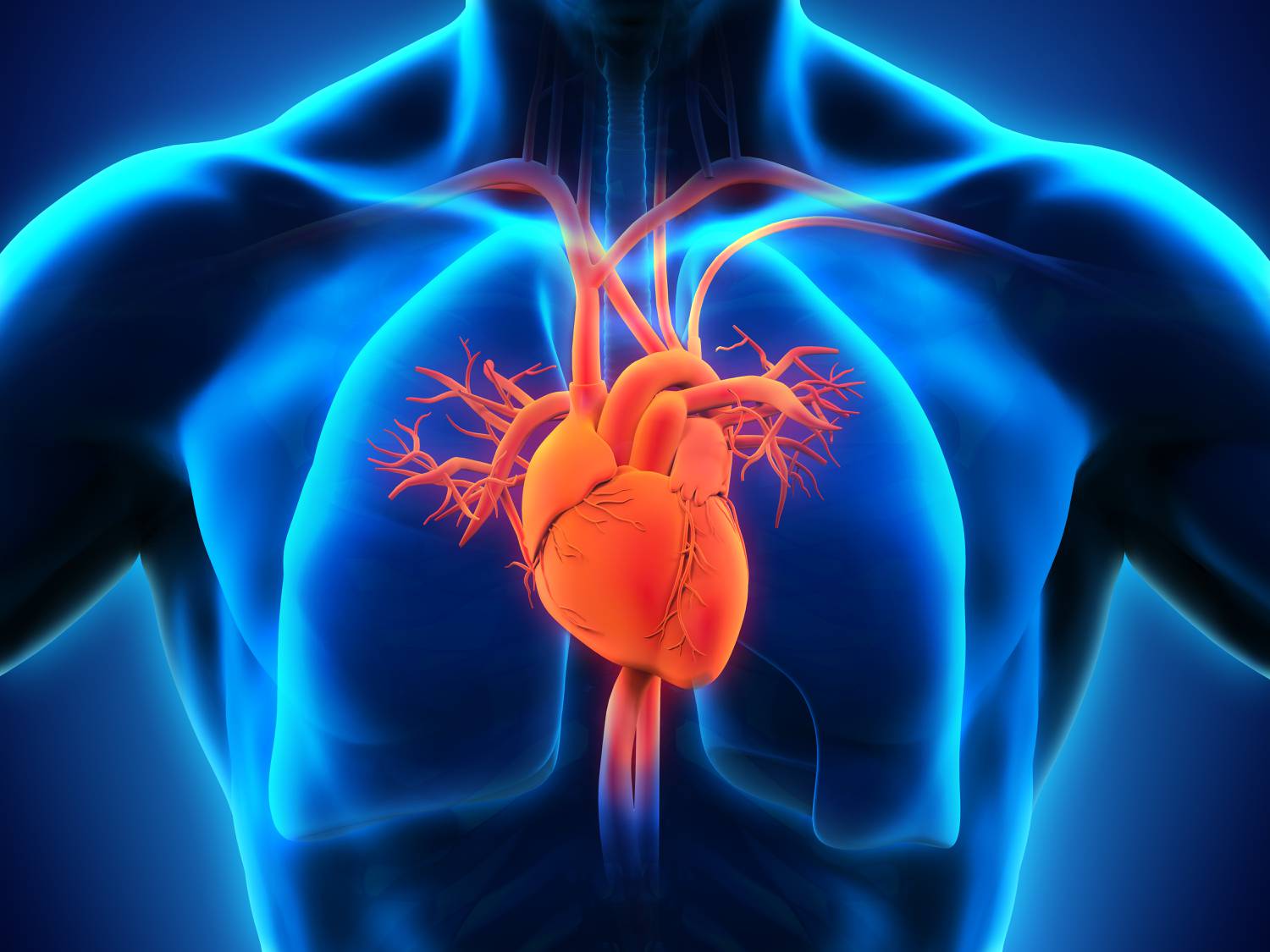 A jojó játék a testsúlyával növeli a szív kockázatát