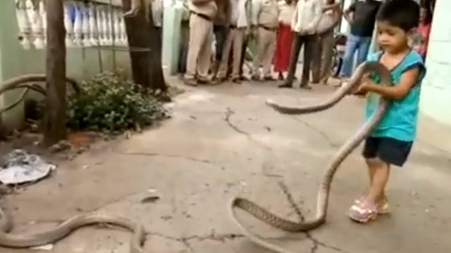 Заползают ли змеи. Мальчик со змеиной кожей, Индия. Про змей для детей. В Индии живет "мальчик-змея".