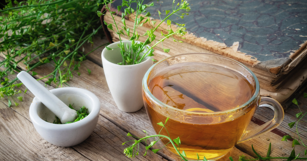 A Zöld tea koleszterinszintre és vérnyomásra kifejtett jótékony hatásai