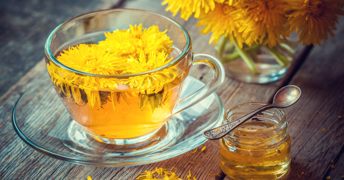 A pitypang tea fogyás előnyei
