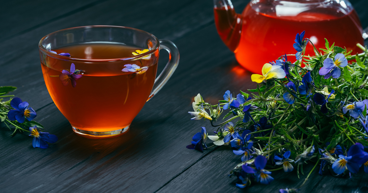 Pikkelysömör kezelése gyógynövényekkel: a vadárvácska teája csodákat tesz