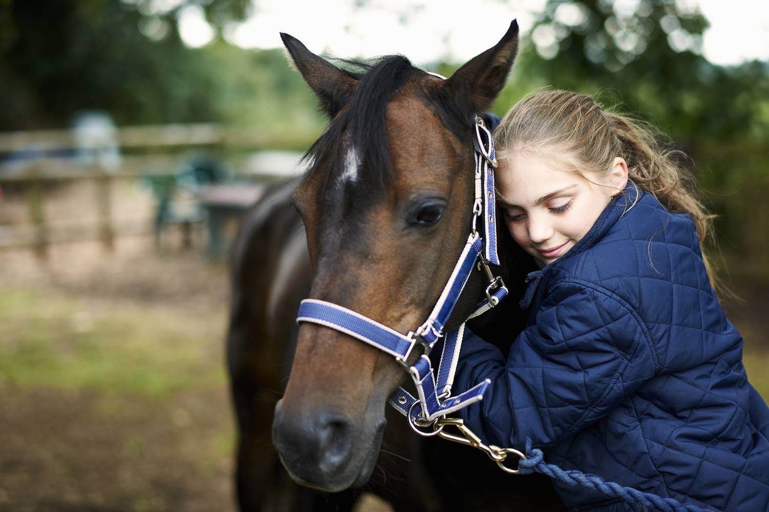 Tudod, hogy a kislányok miért imádják annyira a lovakat? Tudományos magyarázat is van rá - Dívány