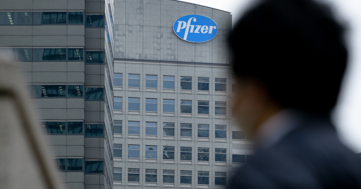 Index – Domestic – Pfizer has entered into a cooperation agreement with Semmelweis University