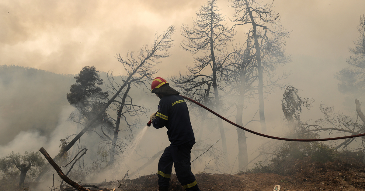 ÍNDICE – Extranjero – Está en Grecia, donde el fuego ya no tiene nada para comer, ahora es difícil en otros lugares