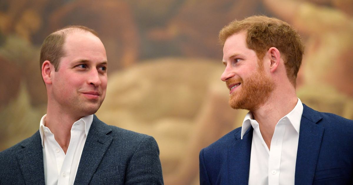 Índice – FOMO – Parece que el hielo entre Harry y William se está rompiendo