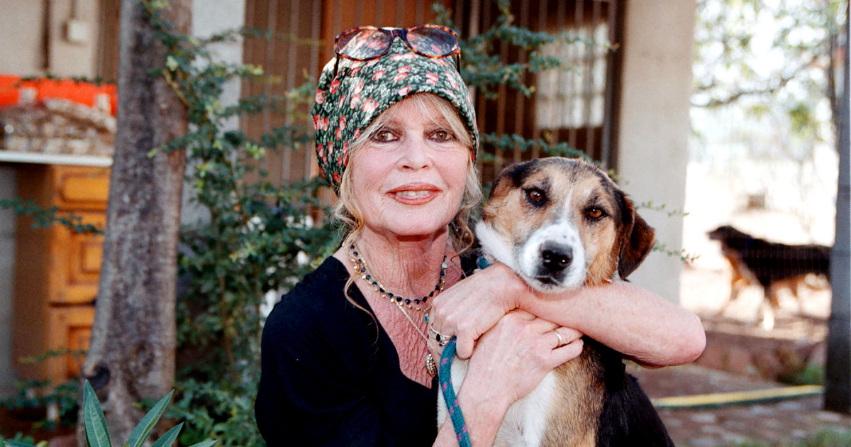 Índice – Extranjero – Brigitte Bardot envió el espectáculo de pesca de Budapest al infierno