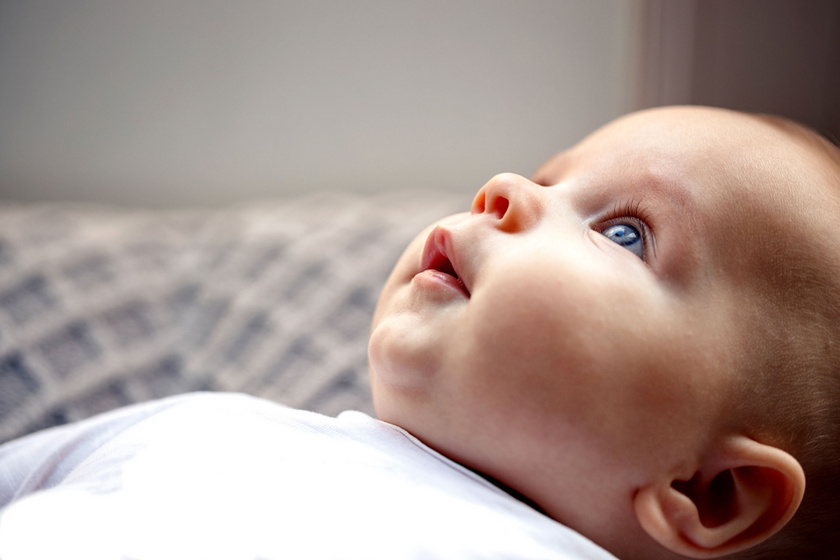 Merevedés 10 hónapos gyermeknél, Csecsemőtáplálás 10 hónapos korban