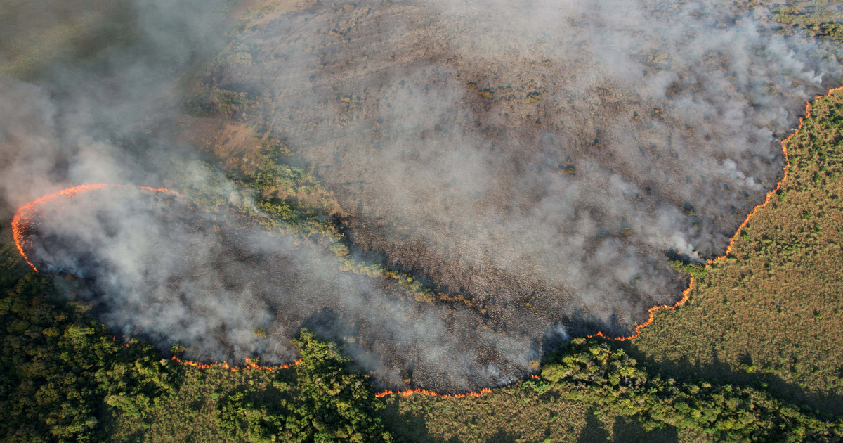 Índice – Tecno-Ciencia – Naciones Unidas advierte de un aumento de los incendios forestales severos en un 50%