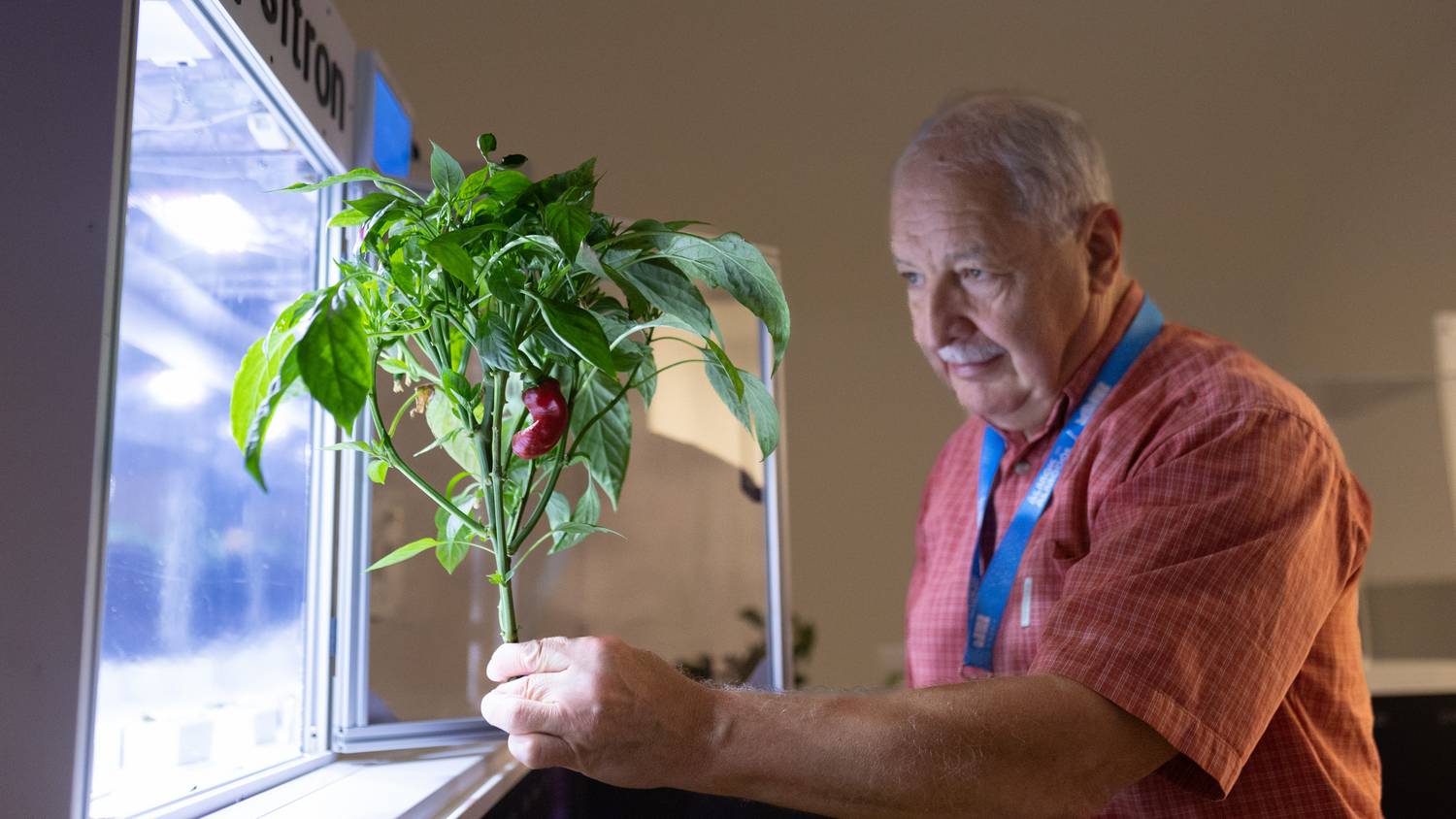 Űrben is termeszthető magyar paprika lehet a jövő tápláléka