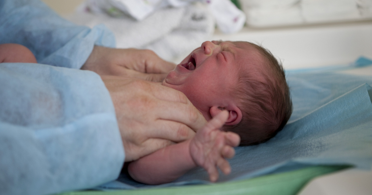 Índice – Ciencia – El número de casos de abuso infantil se duplicó durante la epidemia en París
