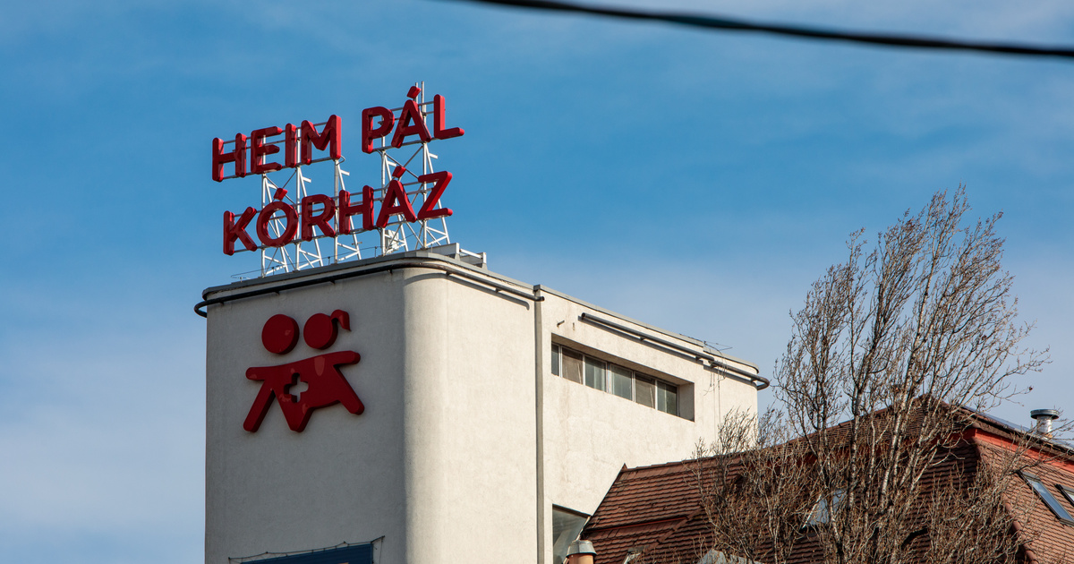 Nyolcvan gyermek került kórházba az angyalföldi ételmérgezés után, a szalmonellafertőzés lehetőségét kizárták