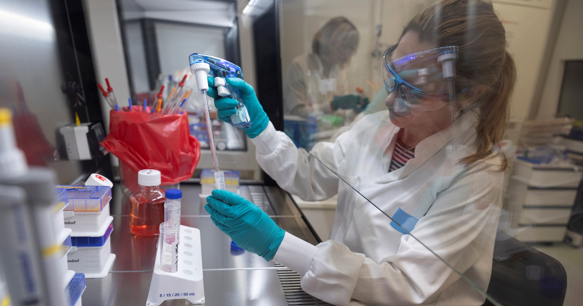 Índice – ciencia – un nuevo fármaco que puede tratar tanto el cáncer como el coronavirus al mismo tiempo
