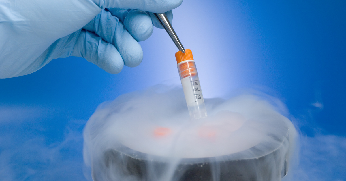 30 éve fagyott embriókból születtek ikrek Amerikában: ez lehet az új rekord
