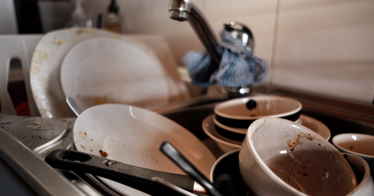 Índice – Ciencia – ¿Cuánto aguanta un plato sin lavar?